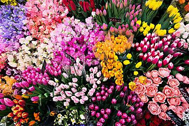 GOG不原生支持Steam Deck 但玩家仍有办法游玩GOG游戏